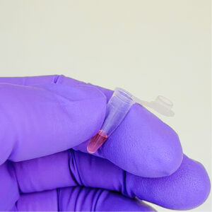 ThistlELITE TruPCR 0.2ml thin wall clear PCR tubes, with attached frosted flat cap