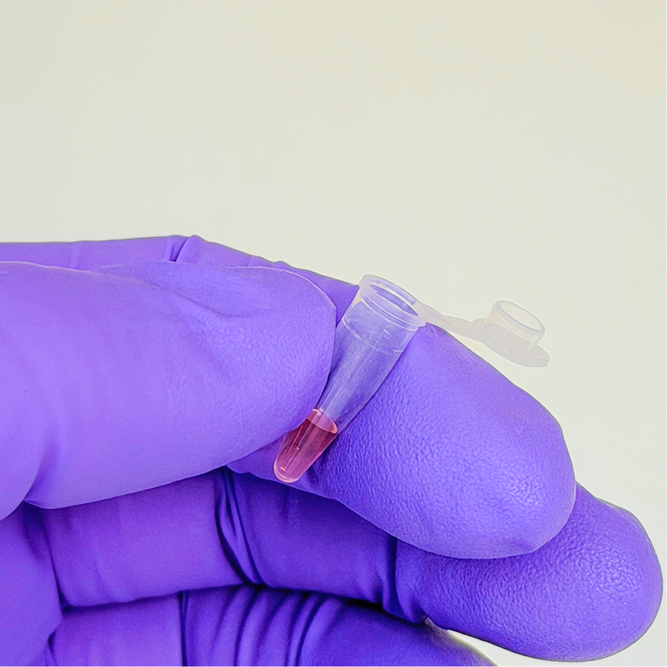 ThistlELITE TruPCR 0.2ml thin wall clear PCR tubes, with attached frosted flat cap